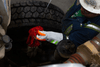 Image of The Dragster - WPNT-0815