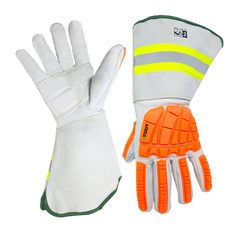 The Limo | WPNT-0814